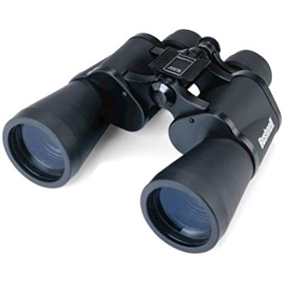 Buy Bushnell Falcon 10x50 Wide Angle Binoculars 