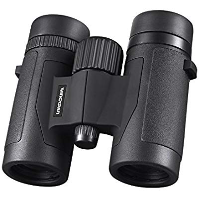 Buy Wingspan Optics Spectator 8X32 Compact Binoculars 