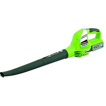 Buy Earthwise LB20024 24-Volt Lithium Ion Cordless Blower