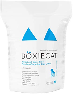 Boxiecat Premium Clumping Clay Cat Litter 2
