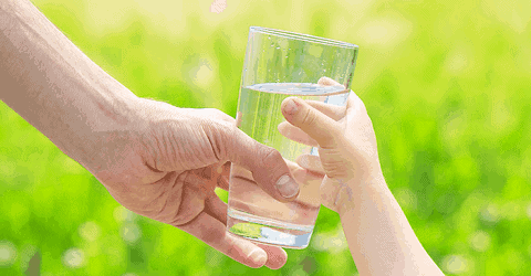 11 Best Water Filter Reviews | Buying Guide {2023}