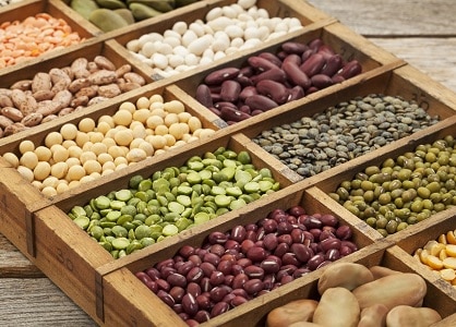 5 Nutrition-Rich Seeds You Should Include In Your Daily Diet