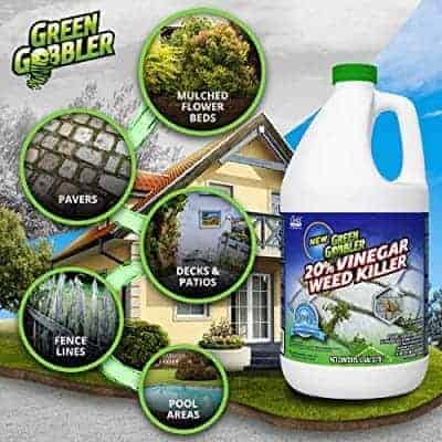 Best Natural and Organic Weed & Grass Killer