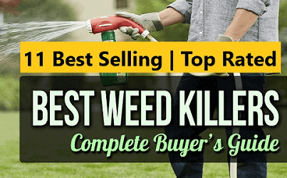 11 Best Weed Killer Reviews | Buying Guide {2023}